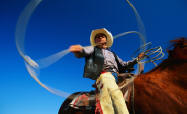 Lloyds Home Owners Insurance, Farm and Ranch